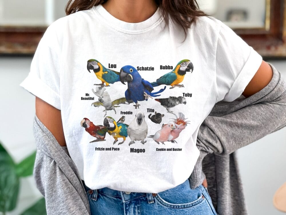 C.A.R.E. Birds