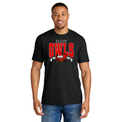 Elgin Owls Footbal