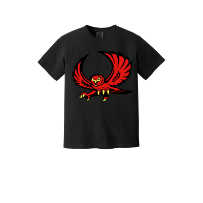 Elgin Owls Logo 1717 Black